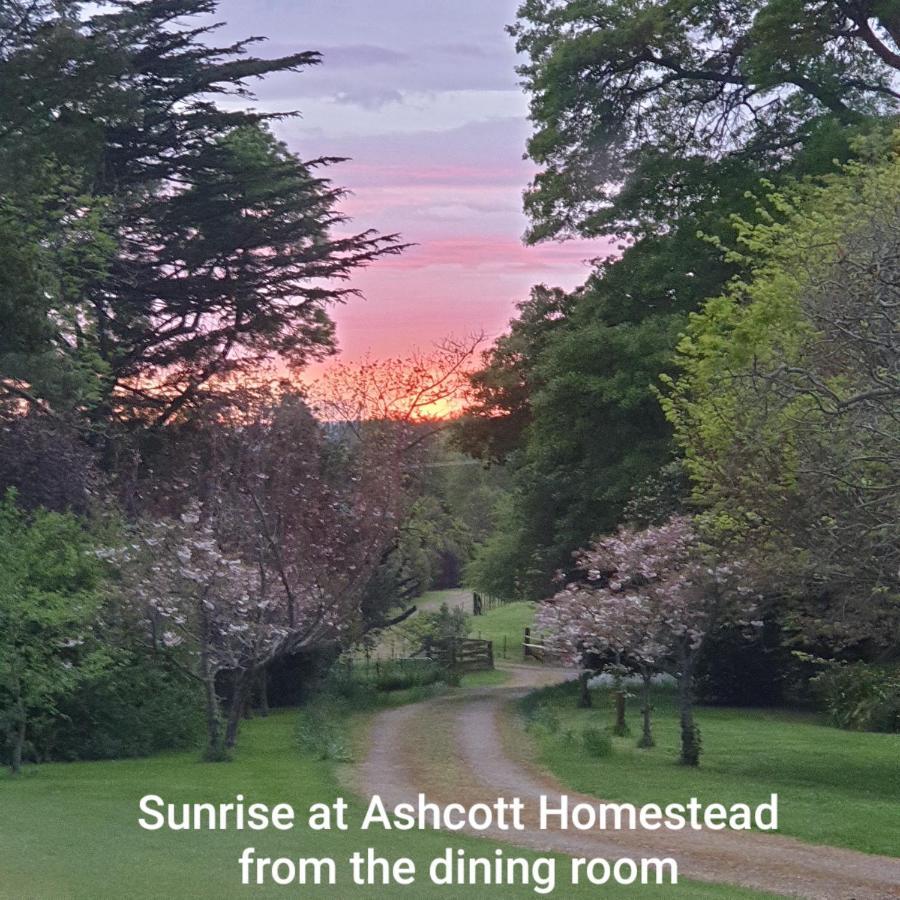 Ashcott Homestead Bed & Breakfast Takapau 외부 사진