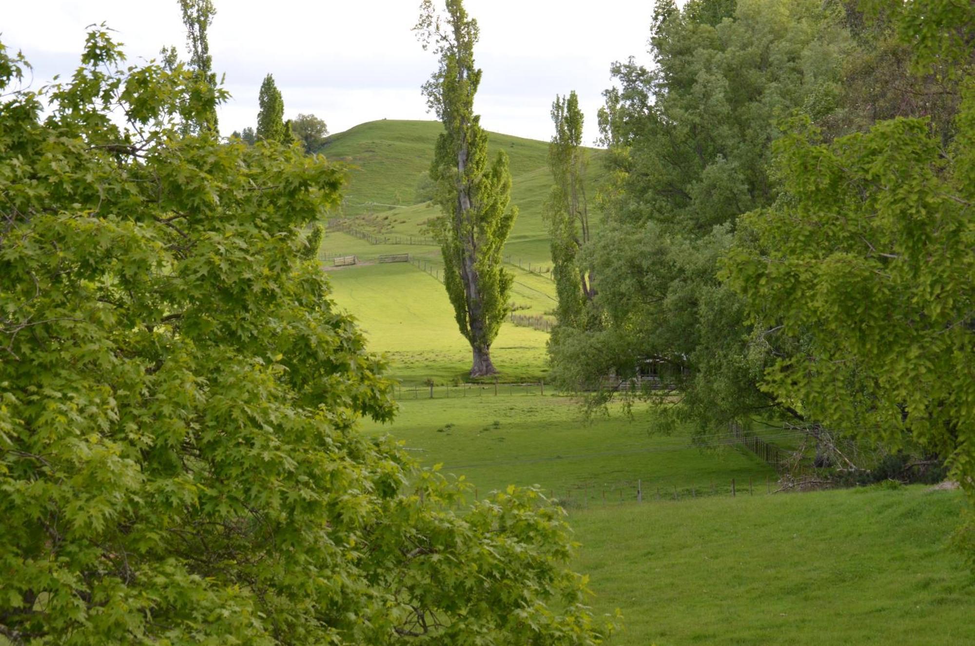 Ashcott Homestead Bed & Breakfast Takapau 외부 사진